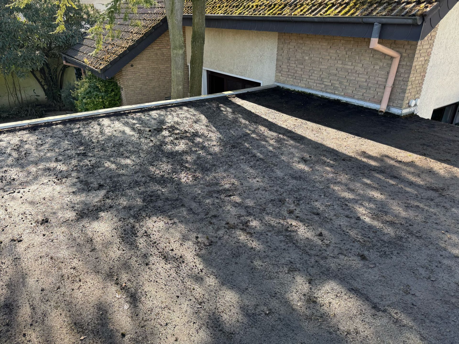 LPS Reinigung